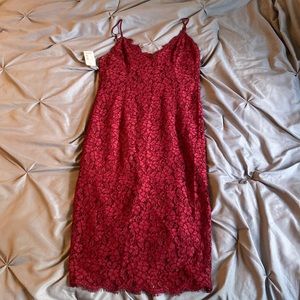 Bardot midi lace dress